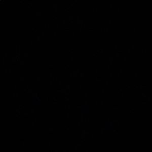 Meet your Posher, Keesha